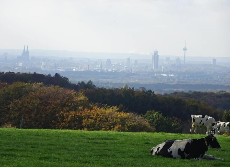 Neue 90 Qm 2-Zimmerwohnung Naehe Koeln Odenthal Bagian luar foto
